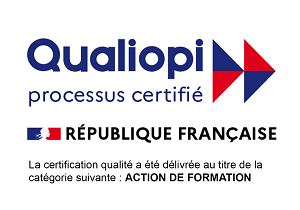 Logo processus certifié Qualiopi pour les organismes de formations qui peuvent bénéficier d'un financement par OPCO et OPCA