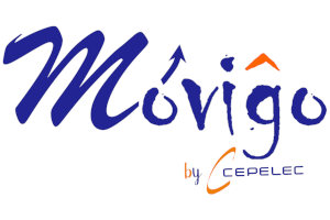 Movigo expert Cepelec - audit et formation ESD - audit et formation brasage manuel - certification IPC-A-610 - audit production électronique