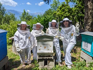 partenariat bee abeilles cepelec démarche rse environnement